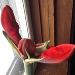 Lorne Thomas - Facebook Profile Picture of Lorne Thomas (@lorne.thomas.129) on Facebook