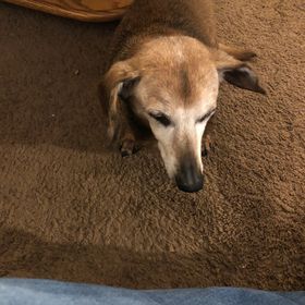 Profile Picture of Heather Nettles Dean (@hodder0791) on Pinterest