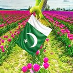 Profile Picture of Nadeem Baig (@nadeembaig881) on Instagram