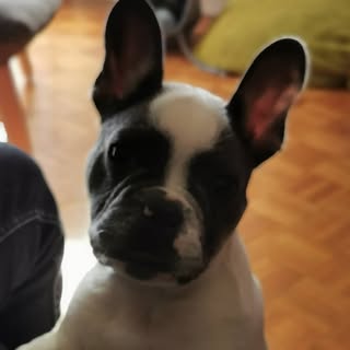 Profile Picture of Raider (@lasateralex) on Instagram