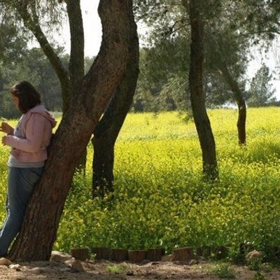 Profile Picture of Stephanie Gibbs (@StephanieGibbs) on Twitter