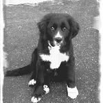 Profile Picture of Matthew Balaban (@balabanmatthew) on Instagram