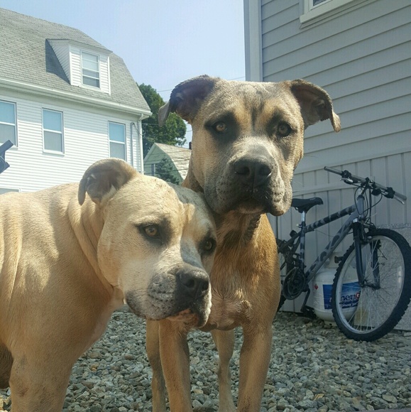 Profile Picture of Melissa Deleskey (@camcod1725) on Poshmark