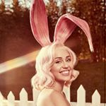 Profile Picture of Jackie Amato (@jacquelyn_rose3) on Instagram