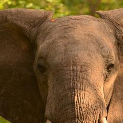 Profile Picture of Robert Searles (@rshairsupplies) on Twitter