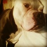 Profile Picture of Herbert Jimmy Lewis (@herbertjimmylewis) on Instagram