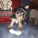 Profile Picture of Cyndi Engle (@cyndi.engle.71) on Facebook