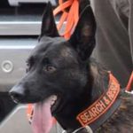 Profile Picture of John Brassell (@jbrassell425) on Instagram