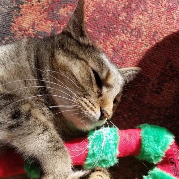 Profile Picture of Kevin Billingsley (@kevinbillingsle) on Poshmark