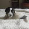Profile Picture of duncanwheeler466 (@@duncanwheeler466) on Tiktok