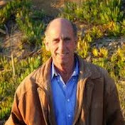 Profile Picture of Peter Levy (@drpeterjlevy) on Youtube