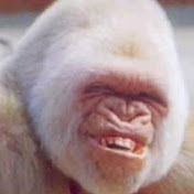 Profile Picture of Jeremy Metzger (@jeremymetzger4755) on Youtube