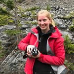 Profile Picture of gingerstout (@gingerstout) on Instagram