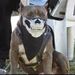 Profile Picture of Chad Tillinghast (@chadjay1874) on Pinterest