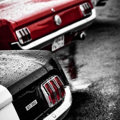 Profile Picture of John Iannone (@JohnIannone5) on Twitter