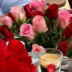 Profile Picture of Paula Hammett (@Paula-Hammett) on Facebook