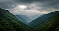 Profile Picture of Meghalaya subtropical forestson Wikipedia