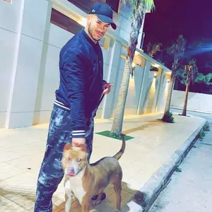 Profile Picture of Hakou Haraka388 (@hakouharaka388) on Tiktok