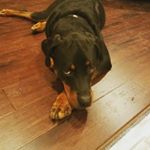 Profile Picture of Darrell Ramsey (@dstormr) on Instagram
