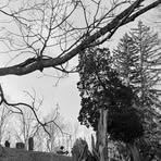 Profile Picture of Cheryl Schueler (@cheryl.schueler.7) on Facebook