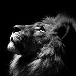 Profile Picture of Hunter Kimball (@stirlingite_hunterkimball) on Instagram