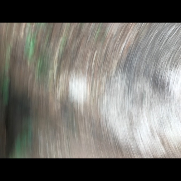 Profile Picture of Jonathan Khadivi (@jonathankhadivi) on Poshmark