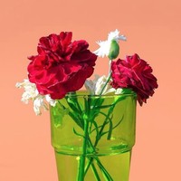 Profile Picture of Hayley Andrews (@hayley-andrews-1) on Quora