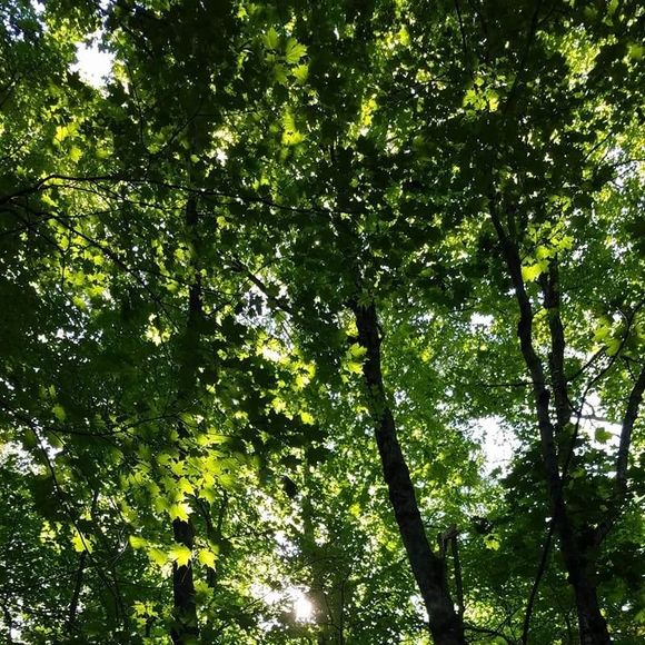 Profile Picture of Danielle scott Mahlon (@daniellemahlon) on Poshmark