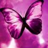 Profile Picture of Jean Irizarry (@@user5379549465599) on Tiktok