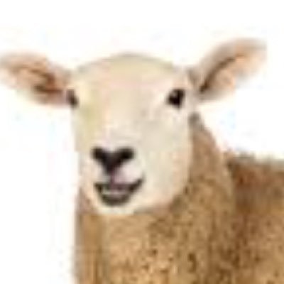 Profile Picture of Bob Bobinski (@bobbobinski4) on Twitter