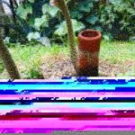 Profile Picture of josepha merkin (@josephamerkin) on Instagram