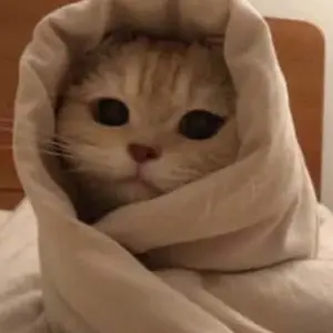 Profile Picture of WhatsApp_status_guy (@mmusi_maimane) on Tiktok