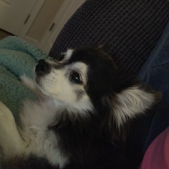 Profile Picture of Cathy Verburg (@cathyverburg) on Poshmark