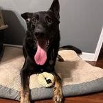 Profile Picture of Zachary Adam McQueen (@zachary_mcqueen) on Instagram