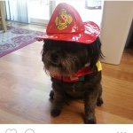 Profile Picture of Joseph (@joseph_castor_) on Instagram