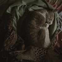 Profile Picture of Ysa Calinawan (@ysa-calinawan) on Quora