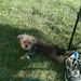 Profile Picture of Shannon Berndt (@shannon7075) on Pinterest