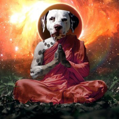 Profile Picture of Steven Braithwaite (@steve_beee) on Twitter