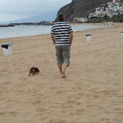 Profile Picture of Thomas Petter (@Tepe13409) on Twitter