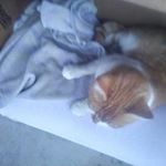Profile Picture of Abidale Ann Jeffries (@abidaleannjeffri) on Instagram