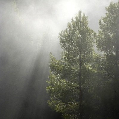 Profile Picture of Kelly (@Phyllis41974031) on Twitter