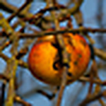 Profile Picture of Thomas Hereth (@TomHereth) on Flickr