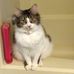 Profile Picture of Eileen Fletcher Dozier (@eileenfletcher.dozier.3) on Facebook