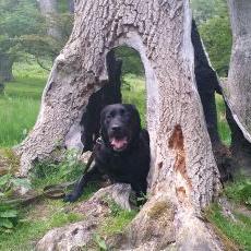 Profile Picture of Jon Bamford (@JonBamford) on Twitter