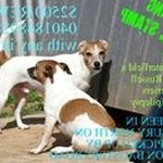 Profile Picture of Sandra Mae (@ajaxstamp) on Instagram