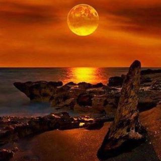 Profile Picture of Bert Perez (@bert.perez.5832) on Facebook