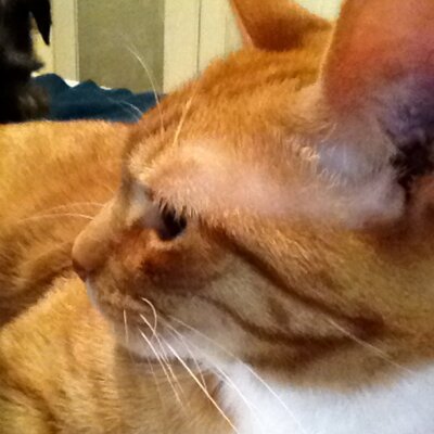 Profile Picture of Carla Berryon Twitter