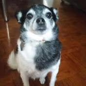 Profile Picture of Carol Cooley (@carolcooley2317) on Youtube