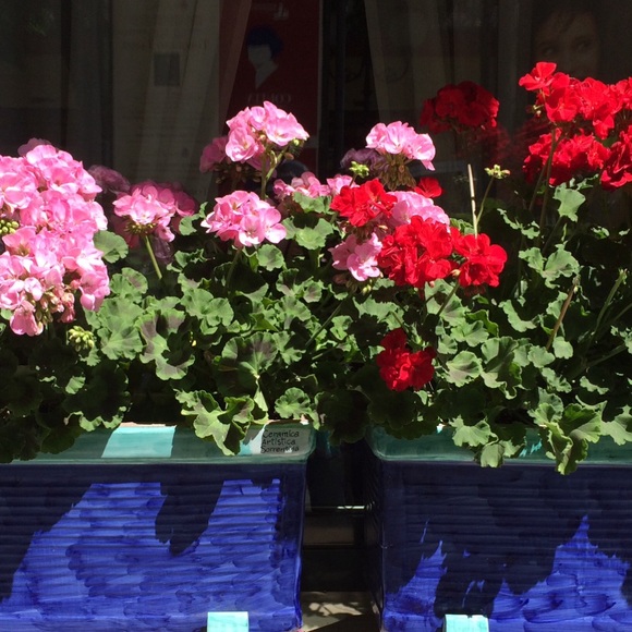 Profile Picture of Tracie Marsh (@tram5120) on Poshmark