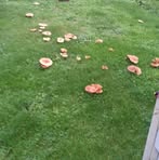 Profile Picture of Roro Accart (@roro.accart.9) on Facebook